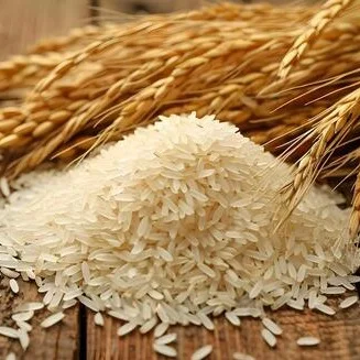 Rice