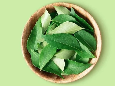 Leaves