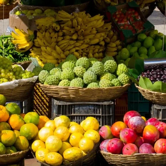 Fruits