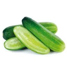 Fresh- Vellari/ Indian Cucumber