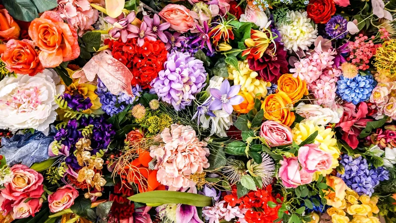 Fresh - Flowers