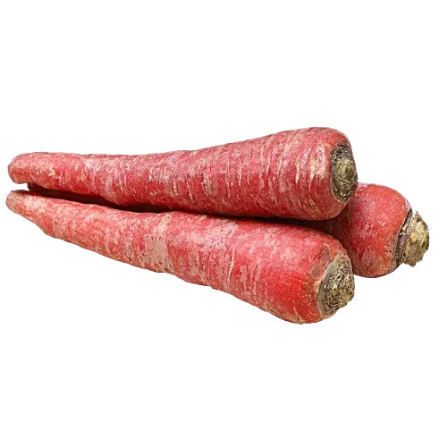 Fresh- Red Carrot